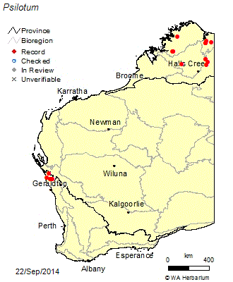 Map of Psilotum distribution in WA